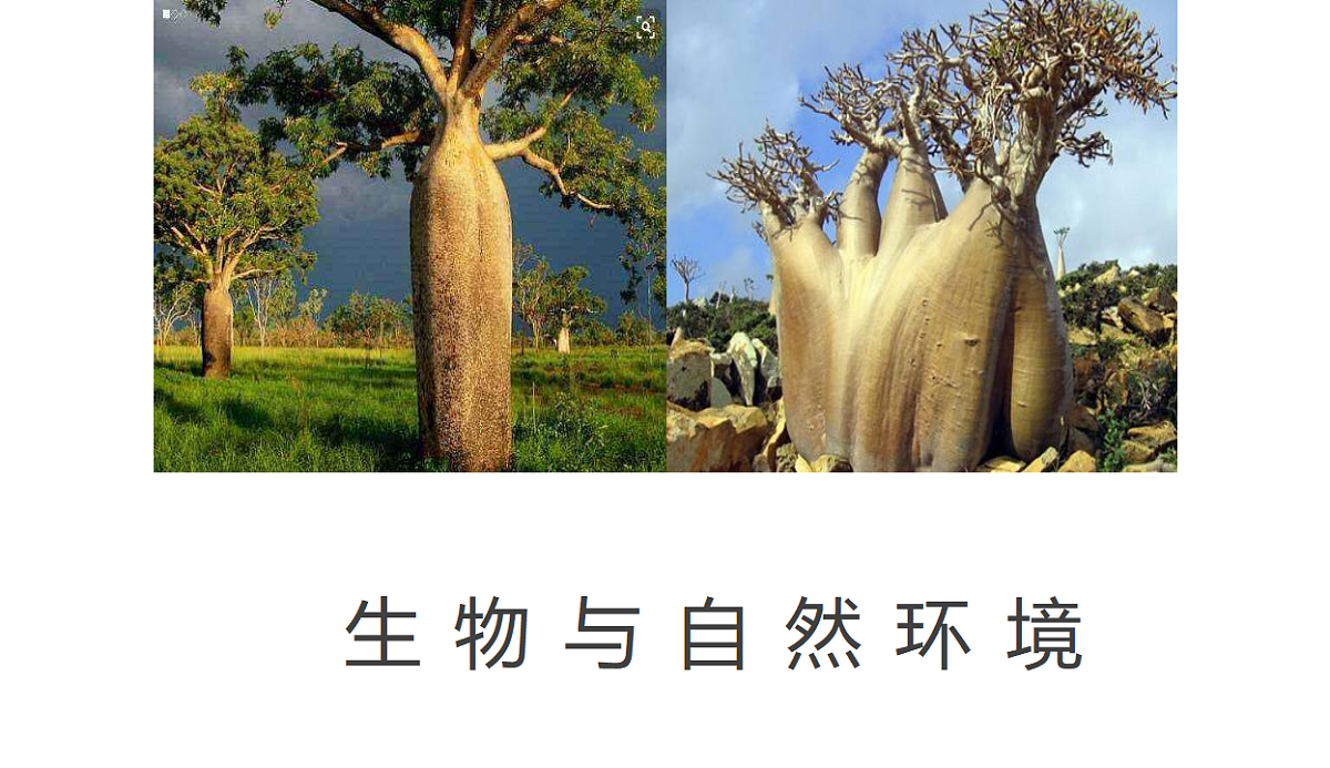 17539762第1页