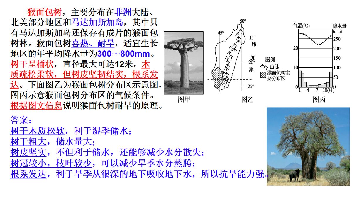 17539762第2页