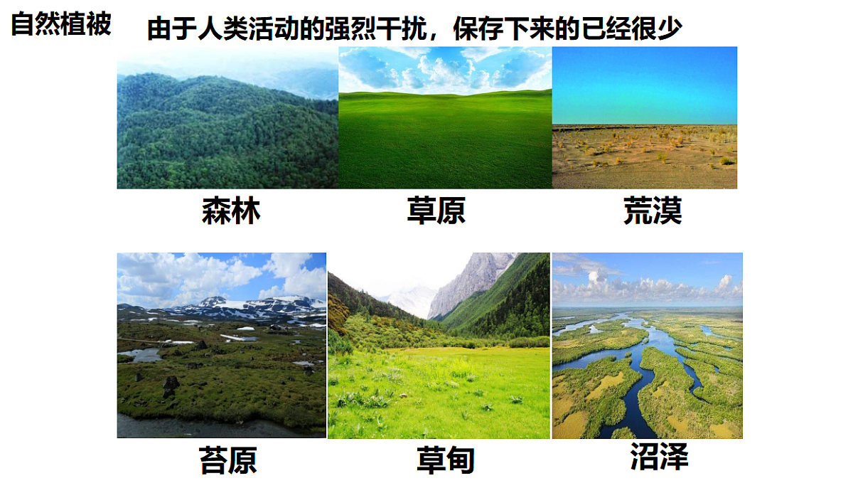 17539762第3页