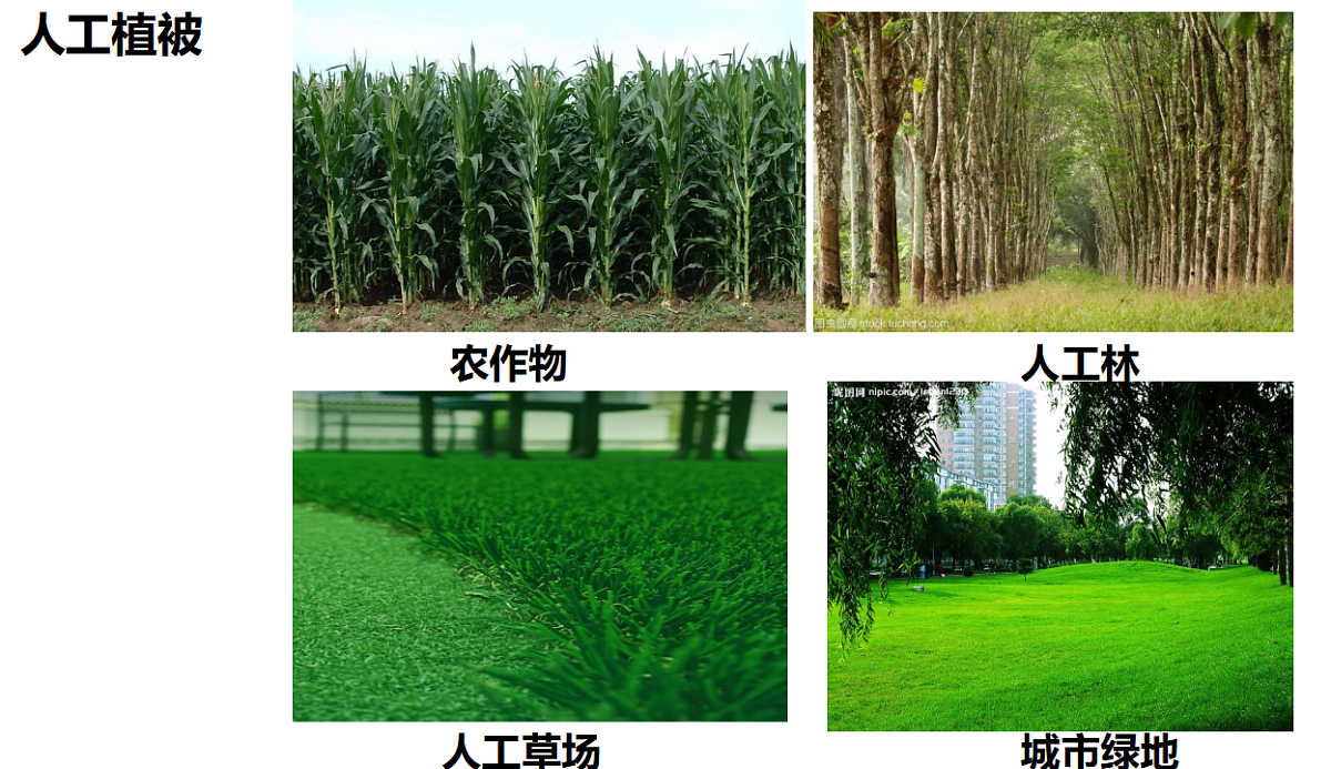 17539762第4页