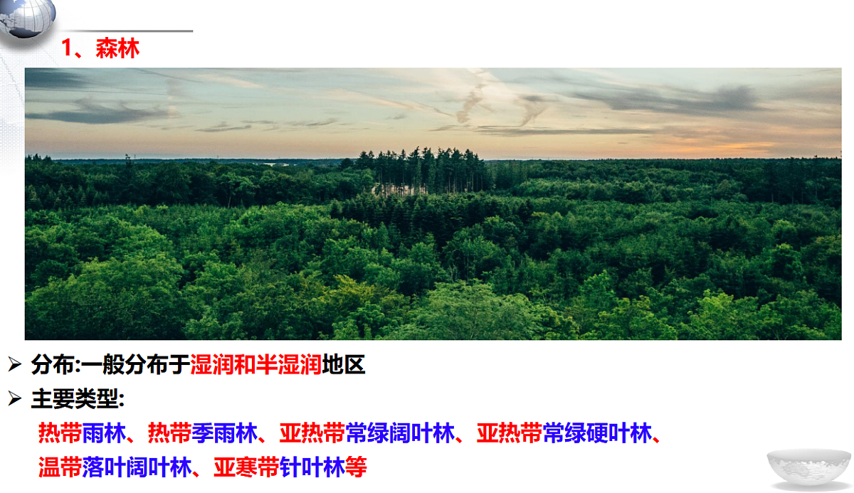 17539762第5页