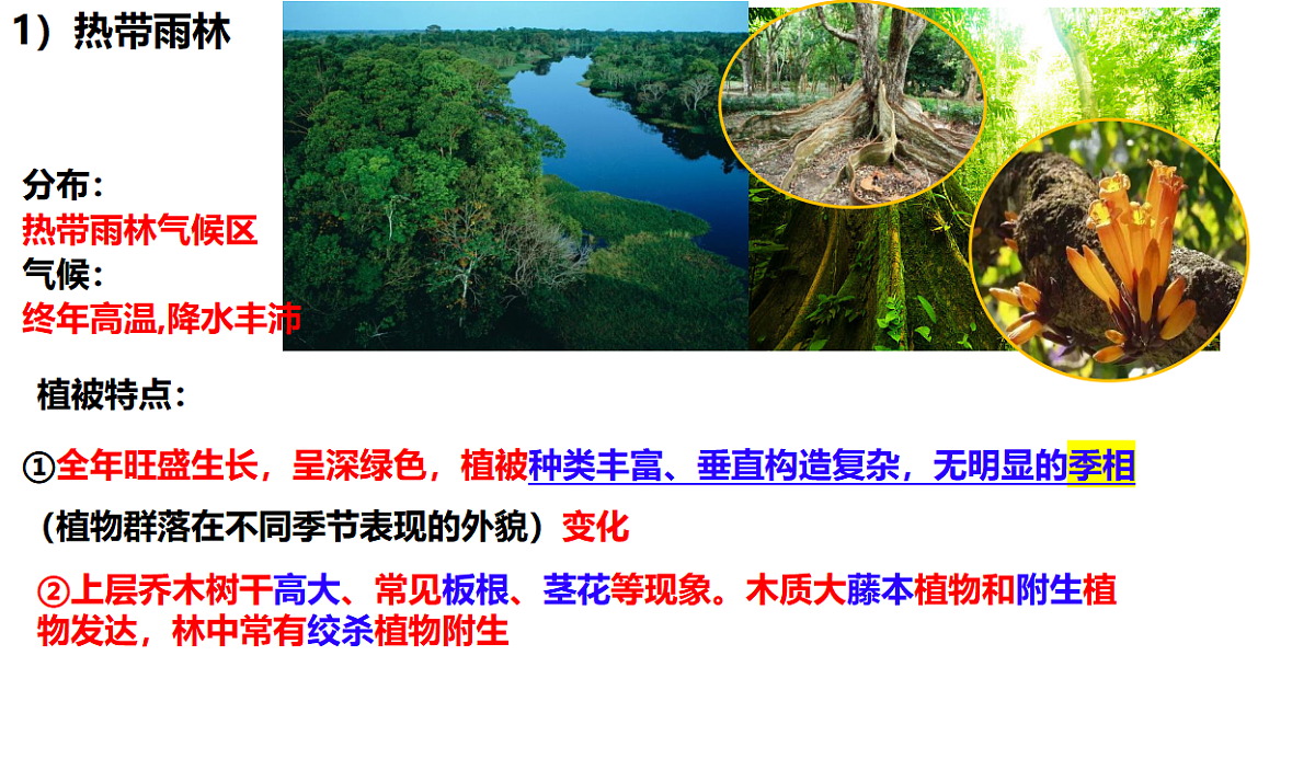 17539762第6页