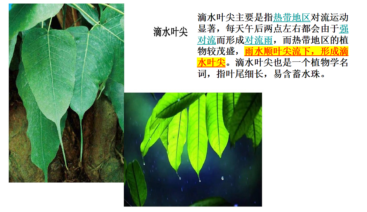 17539762第7页