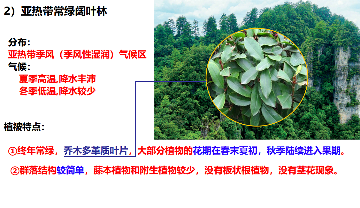 17539762第8页
