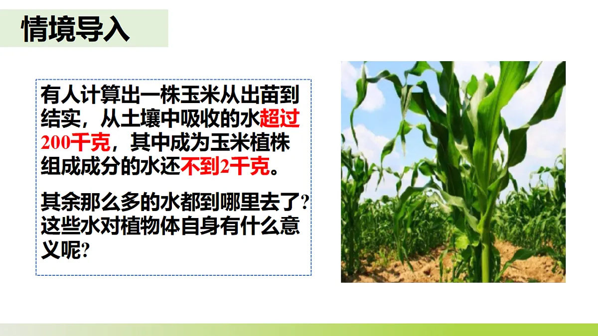 人教版 初中生物 七年级下册 -《水的利用与散失》课件第3页