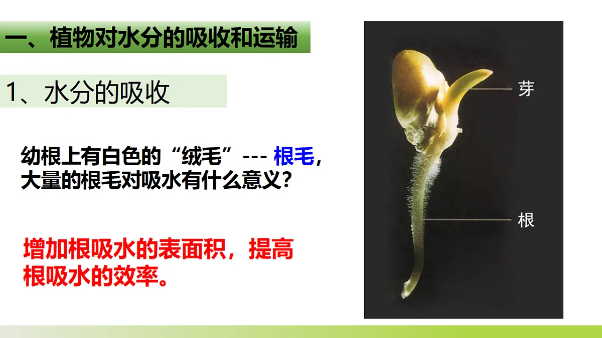 人教版 初中生物 七年级下册 -《水的利用与散失》课件第4页