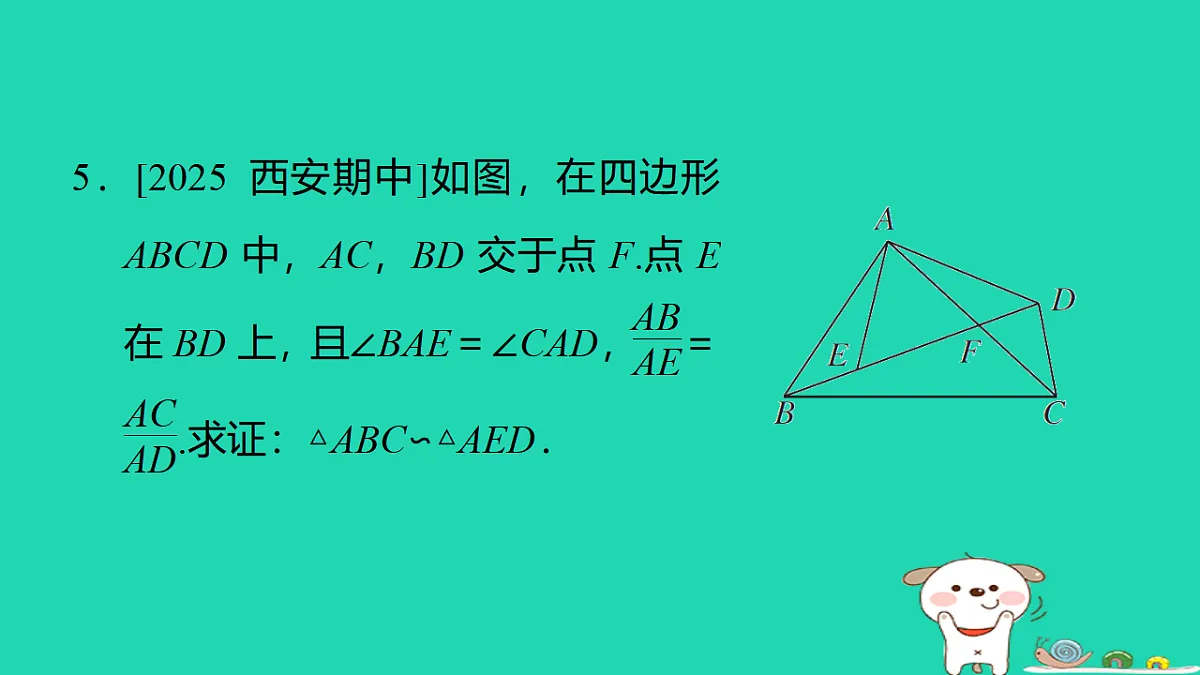 17540507第6页