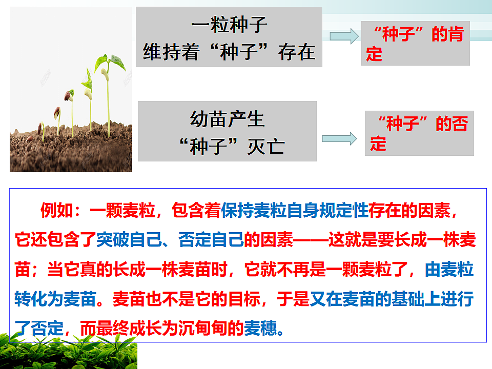 17540562第7页