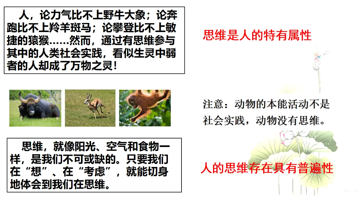 17540567第7页