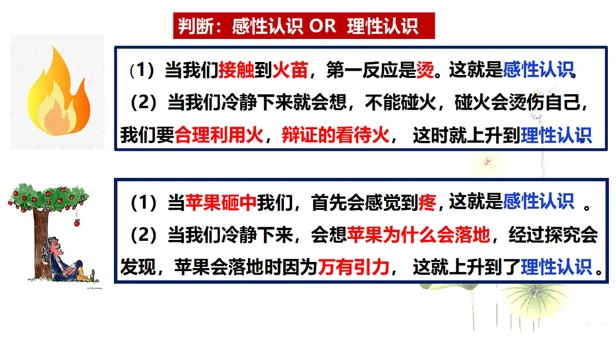 17540567第8页