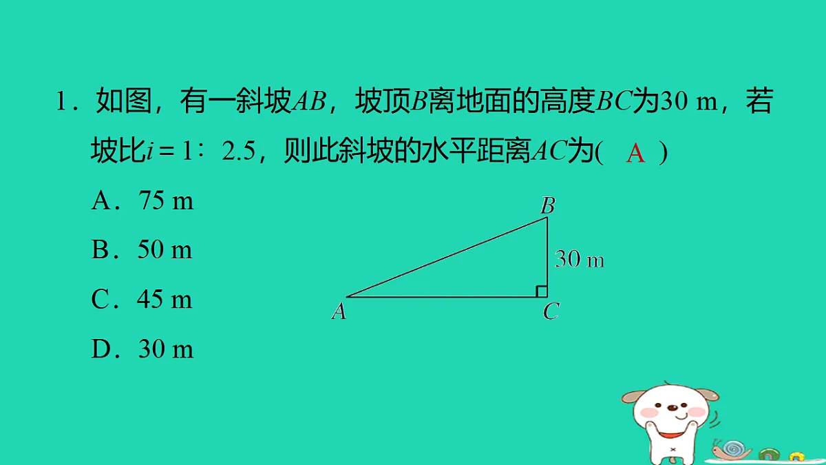 17540594第2页