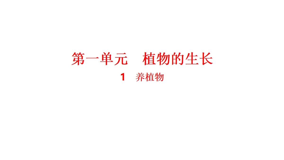 17540838第1页