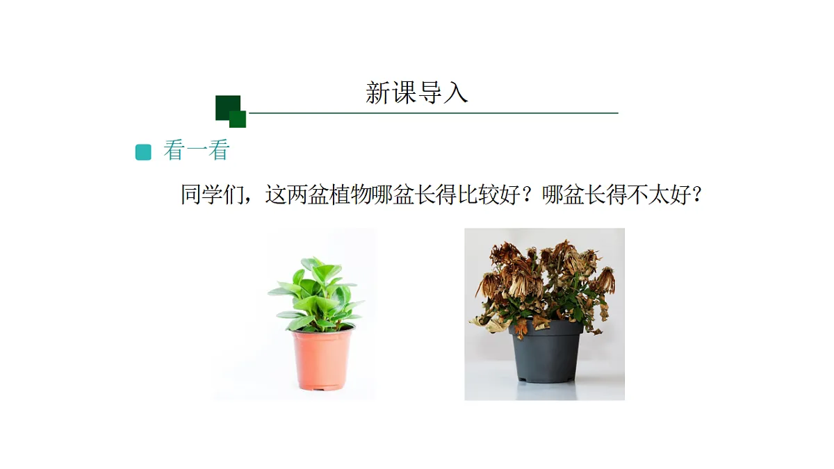 17540838第2页