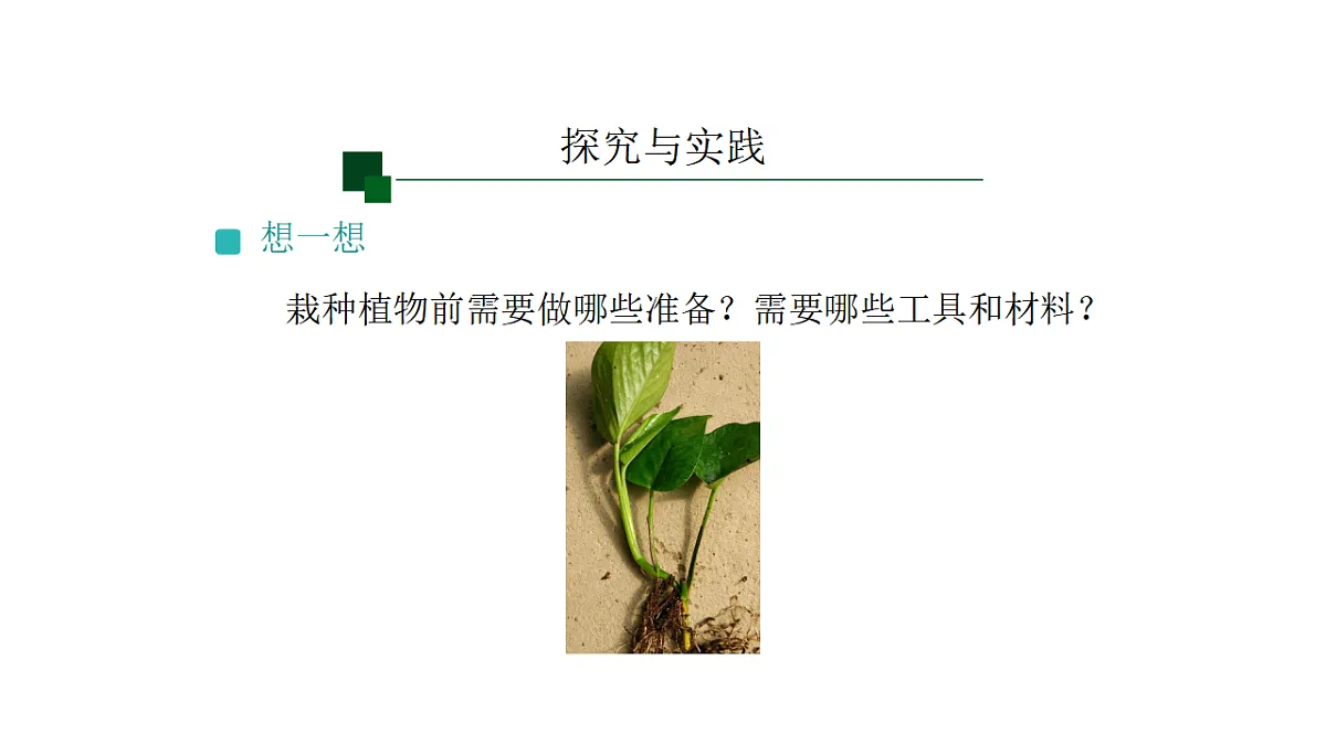 17540838第3页