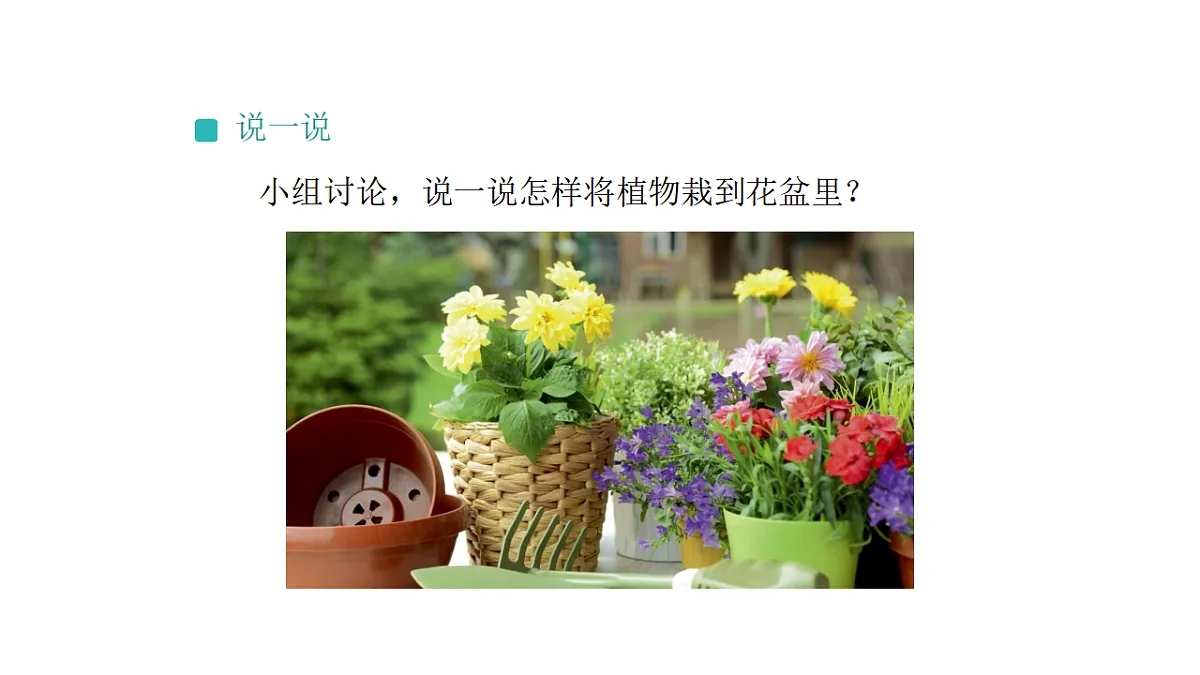 17540838第5页