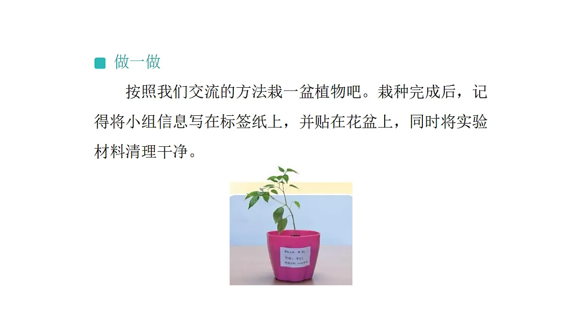 17540838第7页