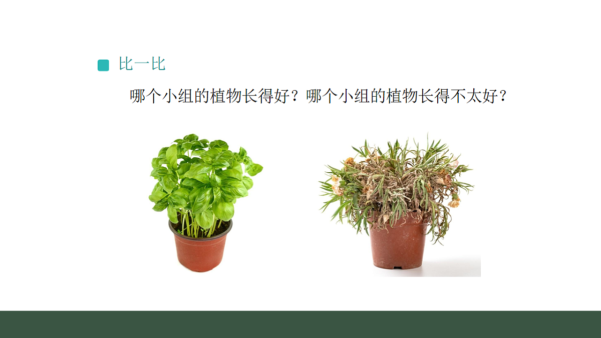17540839第3页