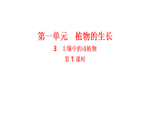 1.3.土壤中的动植物 _课件 2025-2026学年人教鄂教版二年级科学上册
