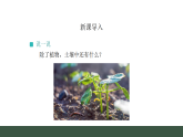 1.3.土壤中的动植物 _课件 2025-2026学年人教鄂教版二年级科学上册