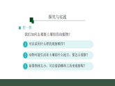 1.3.土壤中的动植物 _课件 2025-2026学年人教鄂教版二年级科学上册