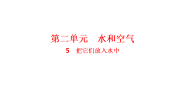 人教鄂教版（2024）二年级上册（2024）5.  把它们放入水中课堂教学ppt课件