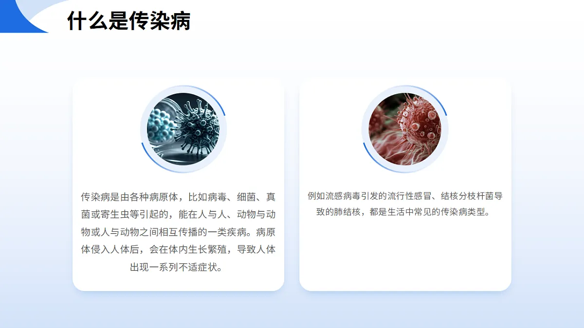 17541857第4页