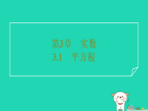 2025秋七年级数学上册第3章实数3.1平方根基础运算习题课件新版浙教版（含答案）