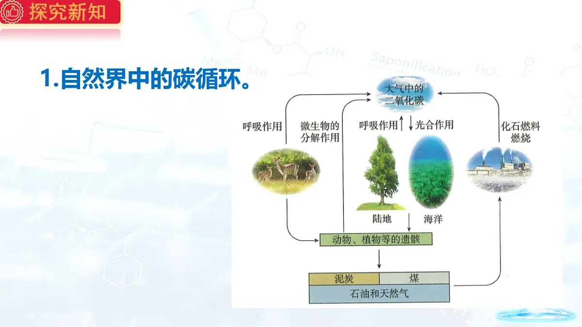 17544107第5页