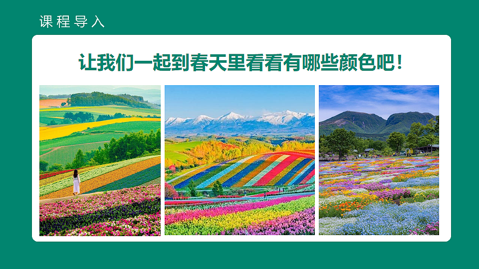 17544326第7页