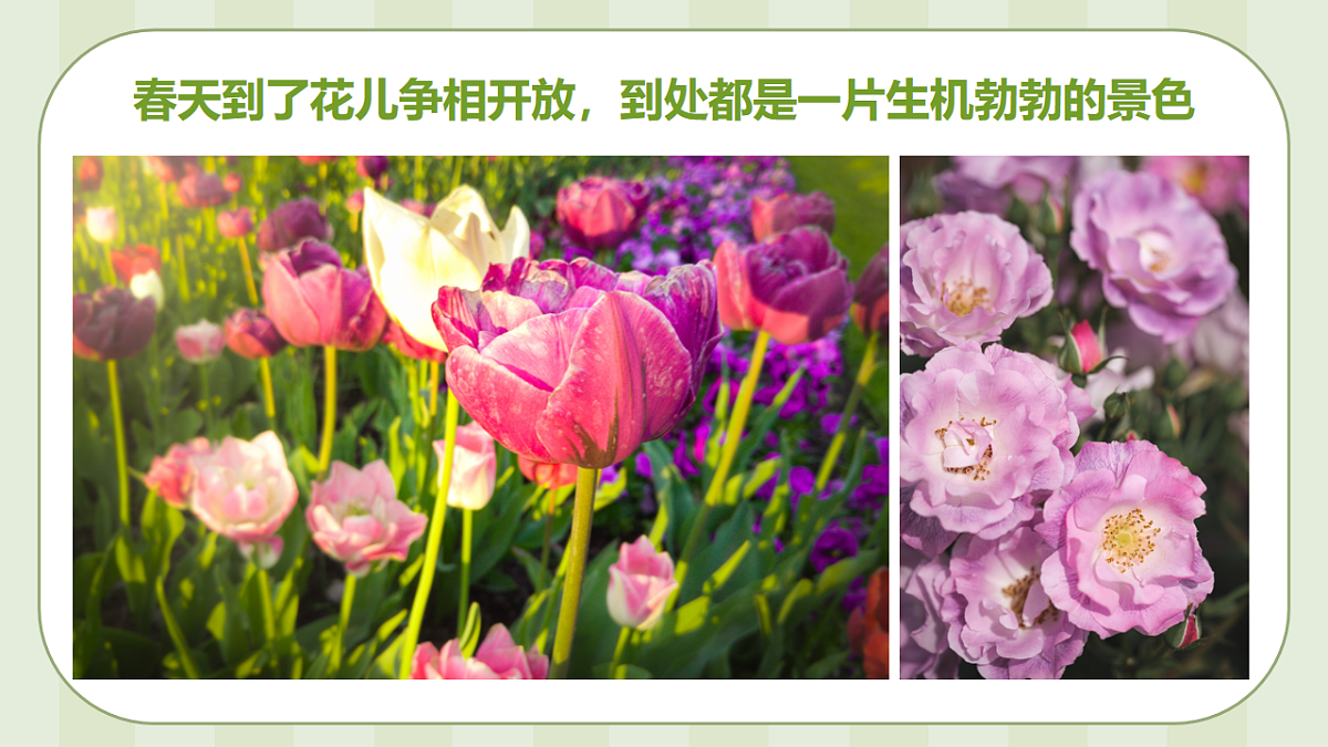 17544333第4页