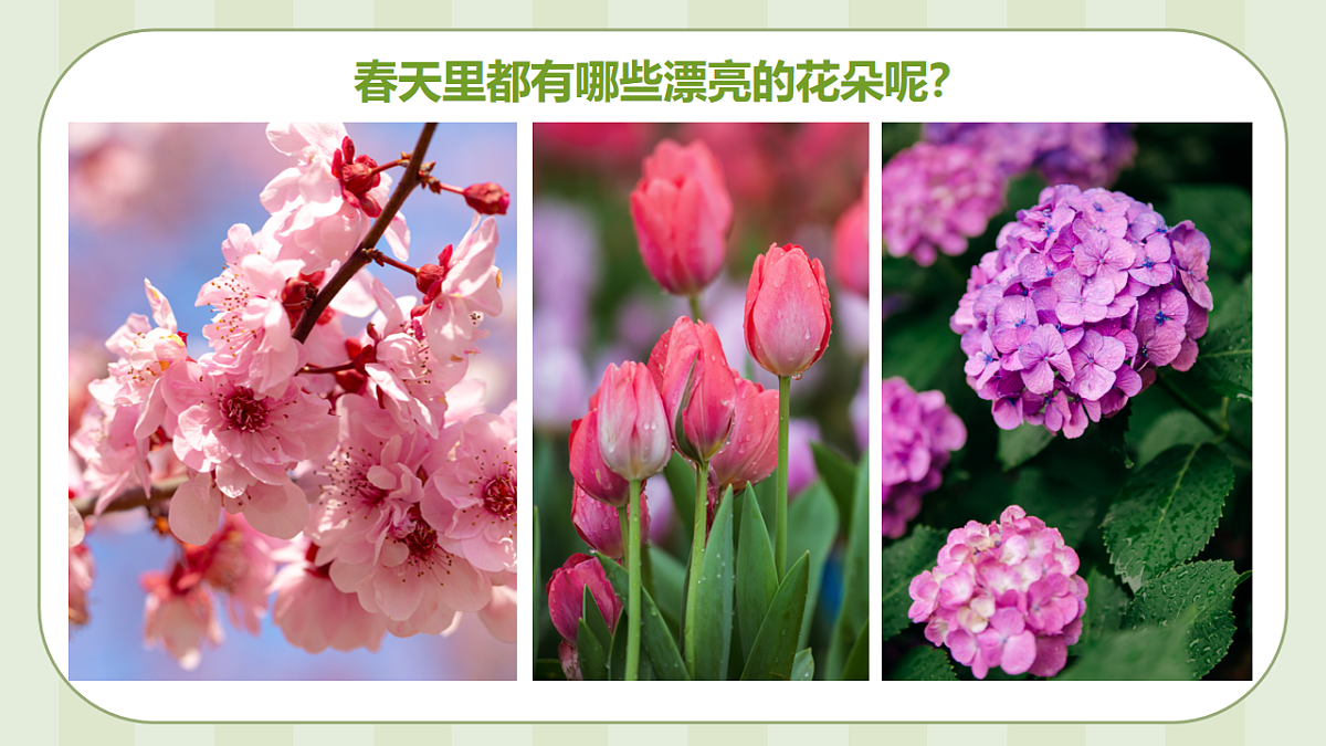 17544333第5页