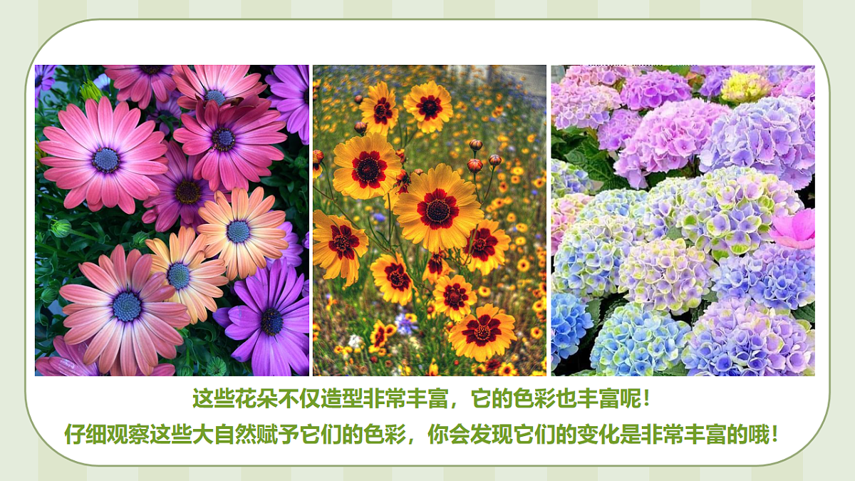 17544333第7页
