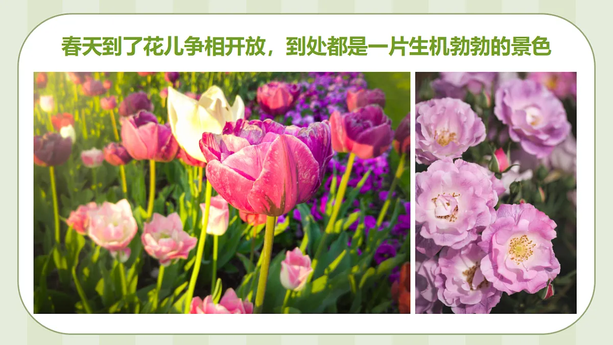 17544348第4页