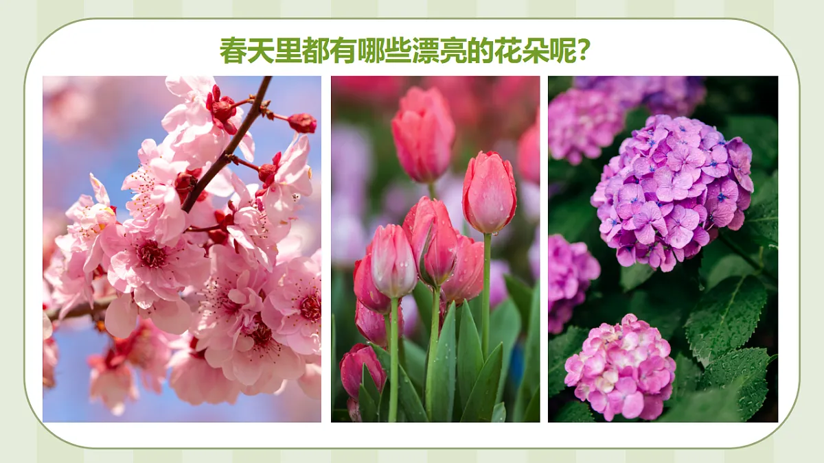 17544348第5页