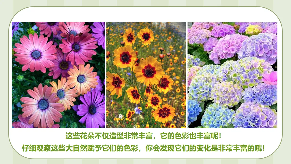 17544348第7页