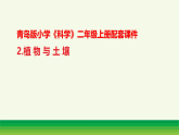 2.植物与土壤（表格式教案+课件）青岛版（63制）二年级科学上册