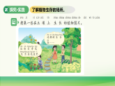 2.植物与土壤（表格式教案+课件）青岛版（63制）二年级科学上册