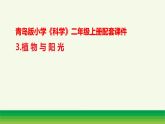 3.植物与阳光（表格式教案+课件）青岛版（63制）二年级科学上册