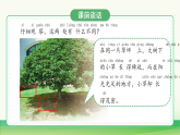 3.植物与阳光（表格式教案+课件）青岛版（63制）二年级科学上册