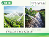 4.植物与水（表格式教案+课件）青岛版（63制）二年级科学上册