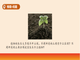 2.《土壤的种类》（表格式教案+课件）青岛版（54制）三年级科学上册