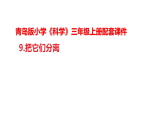 9.《把它们分离》（表格式教案+课件）青岛版（54制）三年级科学上册