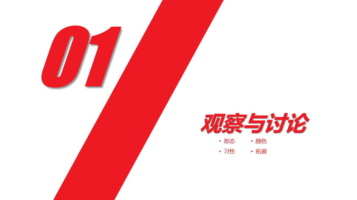 17545147第3页