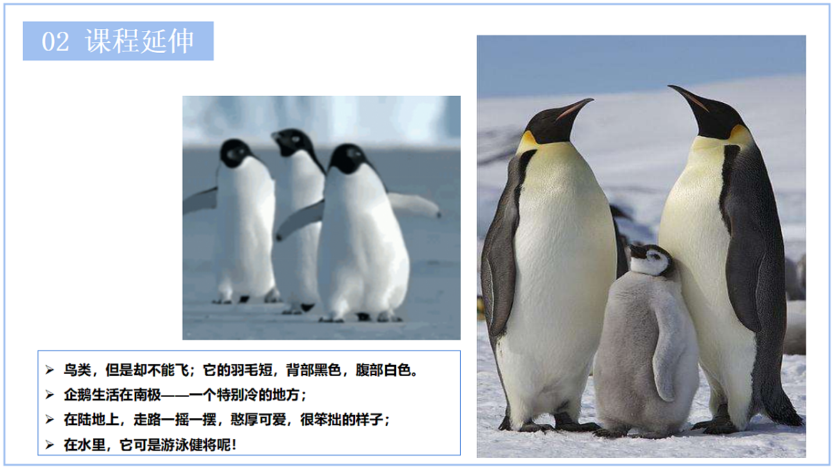 17545155第5页