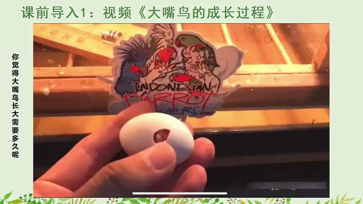 17545159第3页