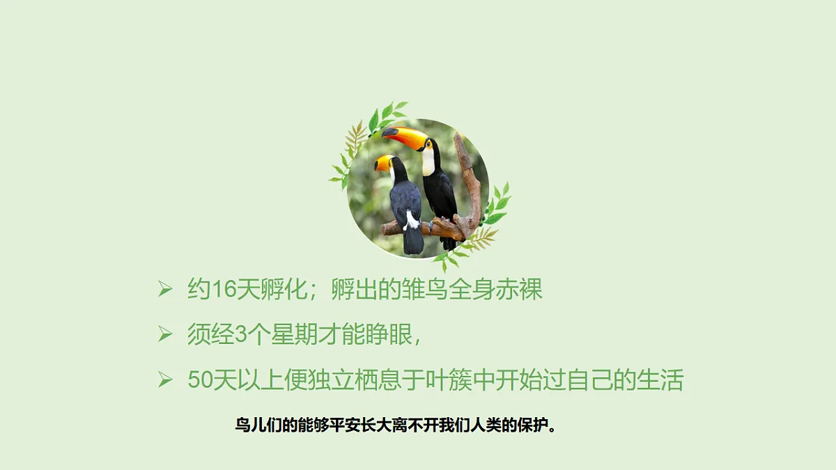 17545159第4页