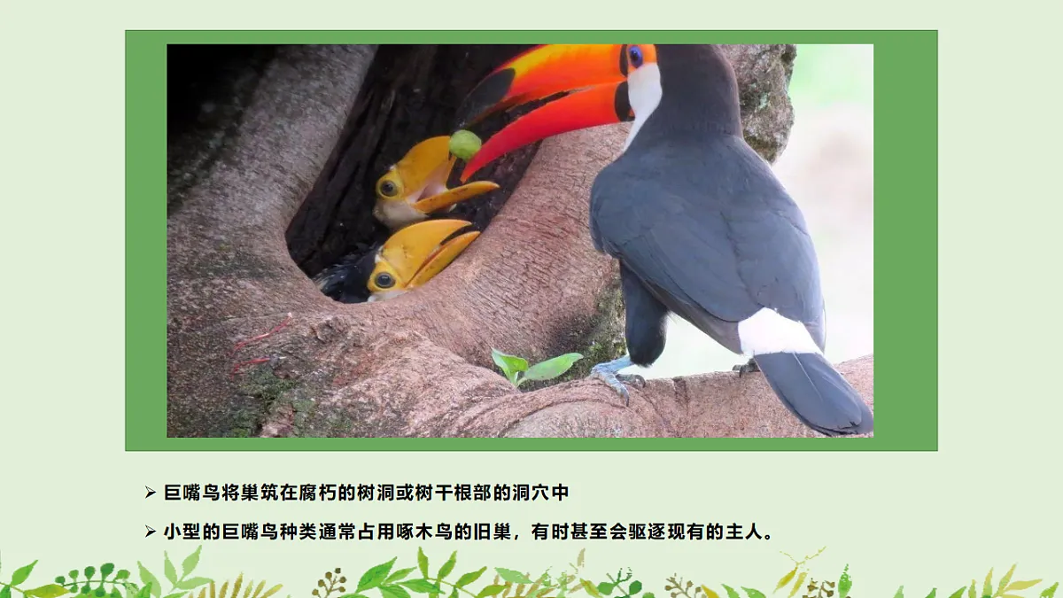 17545159第8页