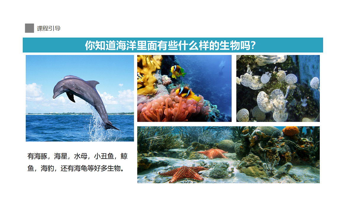 17545163第5页