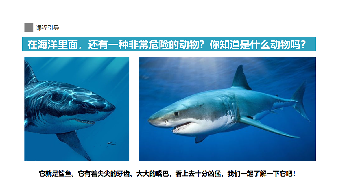 17545163第7页