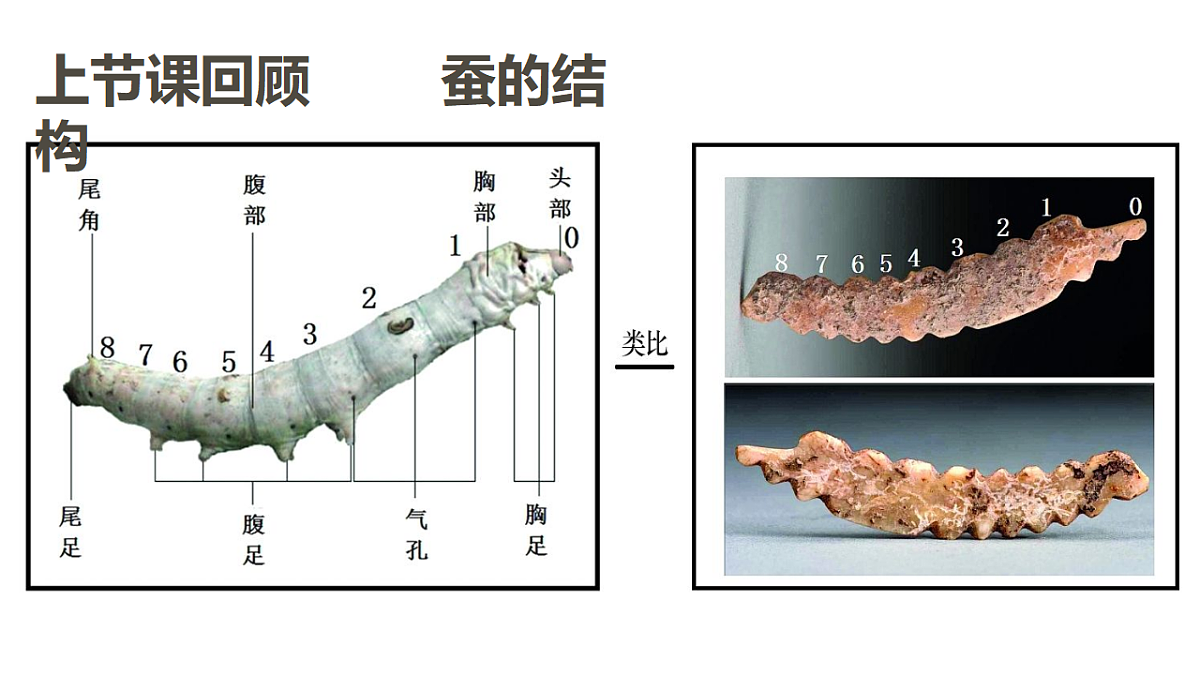 17545165第3页
